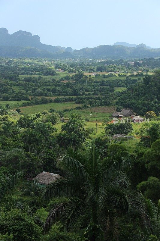 Cuba - Viñales- panorama